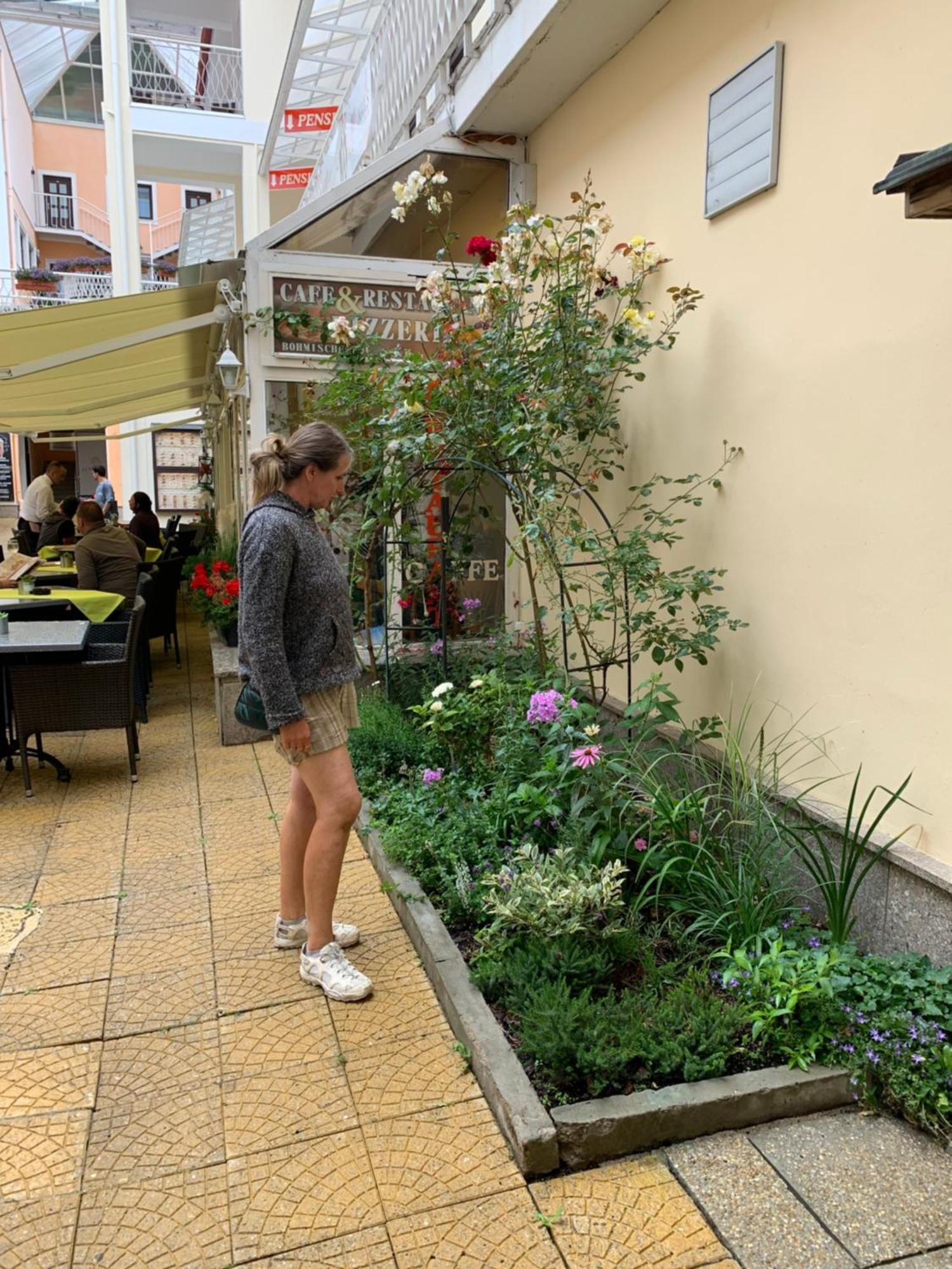 Apartma La Provence Mariánské Lázně Eksteriør billede